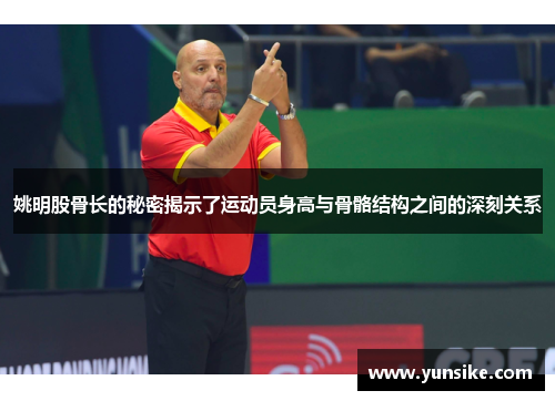 姚明股骨长的秘密揭示了运动员身高与骨骼结构之间的深刻关系