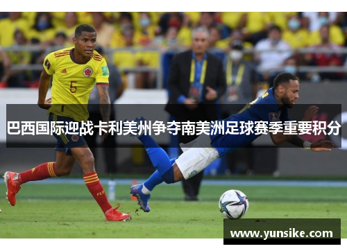 巴西国际迎战卡利美州争夺南美洲足球赛季重要积分